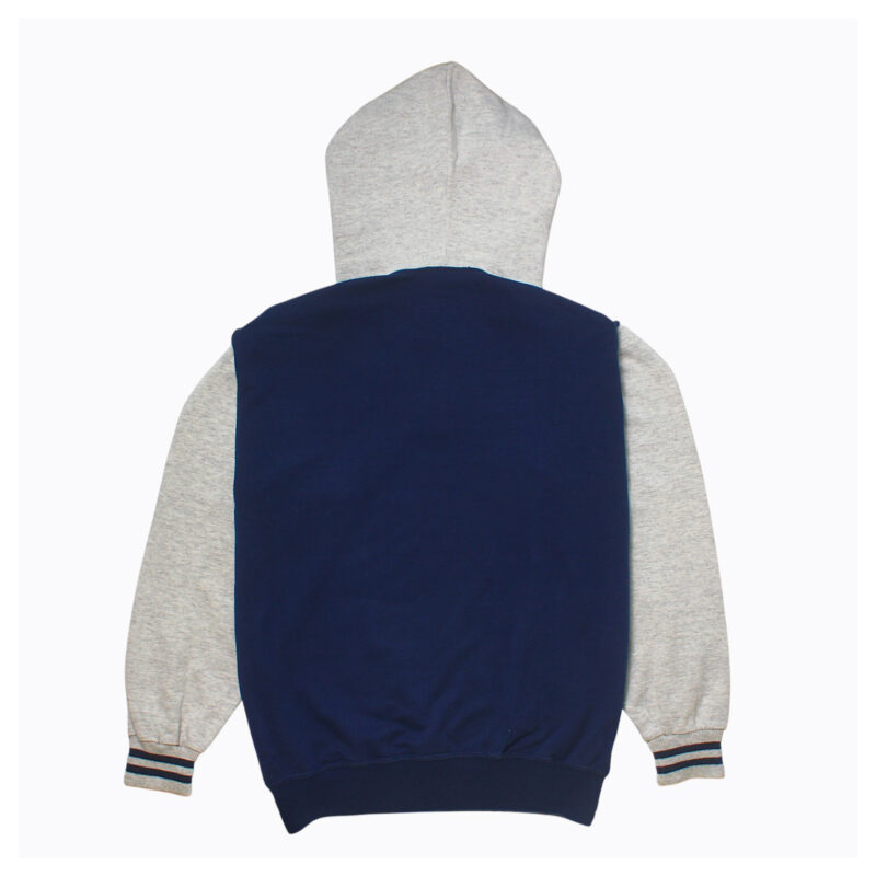 champion colourblock hoodie